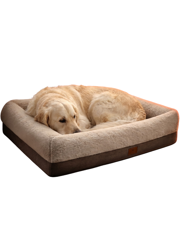The Decompression Lounger — Orthopedic Recovery Bed for Itchy & Senior Dogs