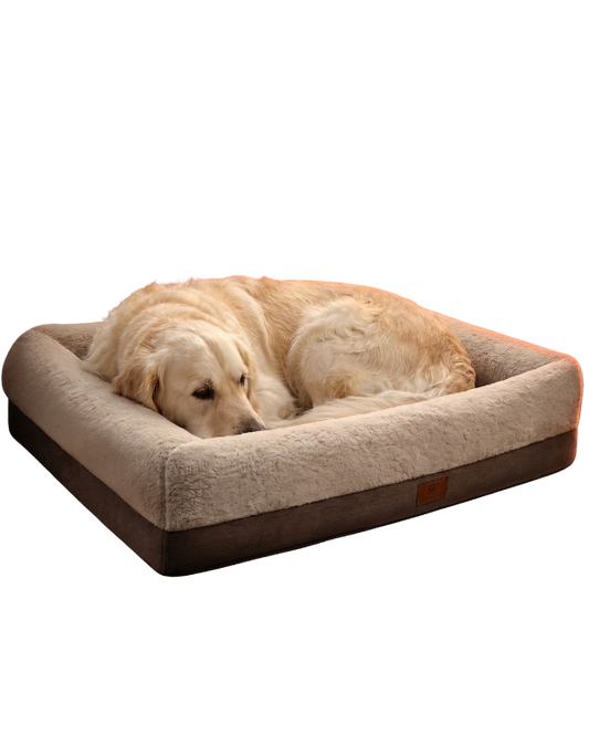The Decompression Lounger — Orthopedic Recovery Bed for Itchy & Senior Dogs