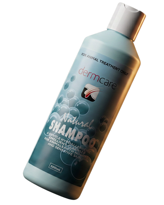 The Bath That Doesn't Make It Worse — Dermcare Natural Shampoo