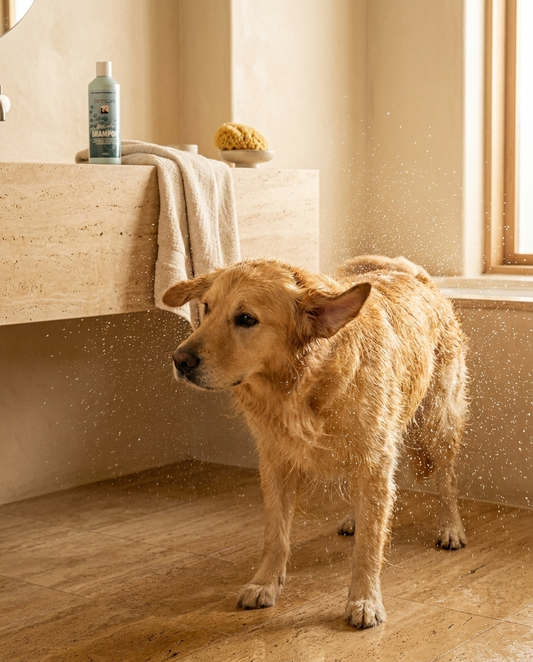 The Bath That Doesn't Make It Worse — Dermcare Natural Shampoo